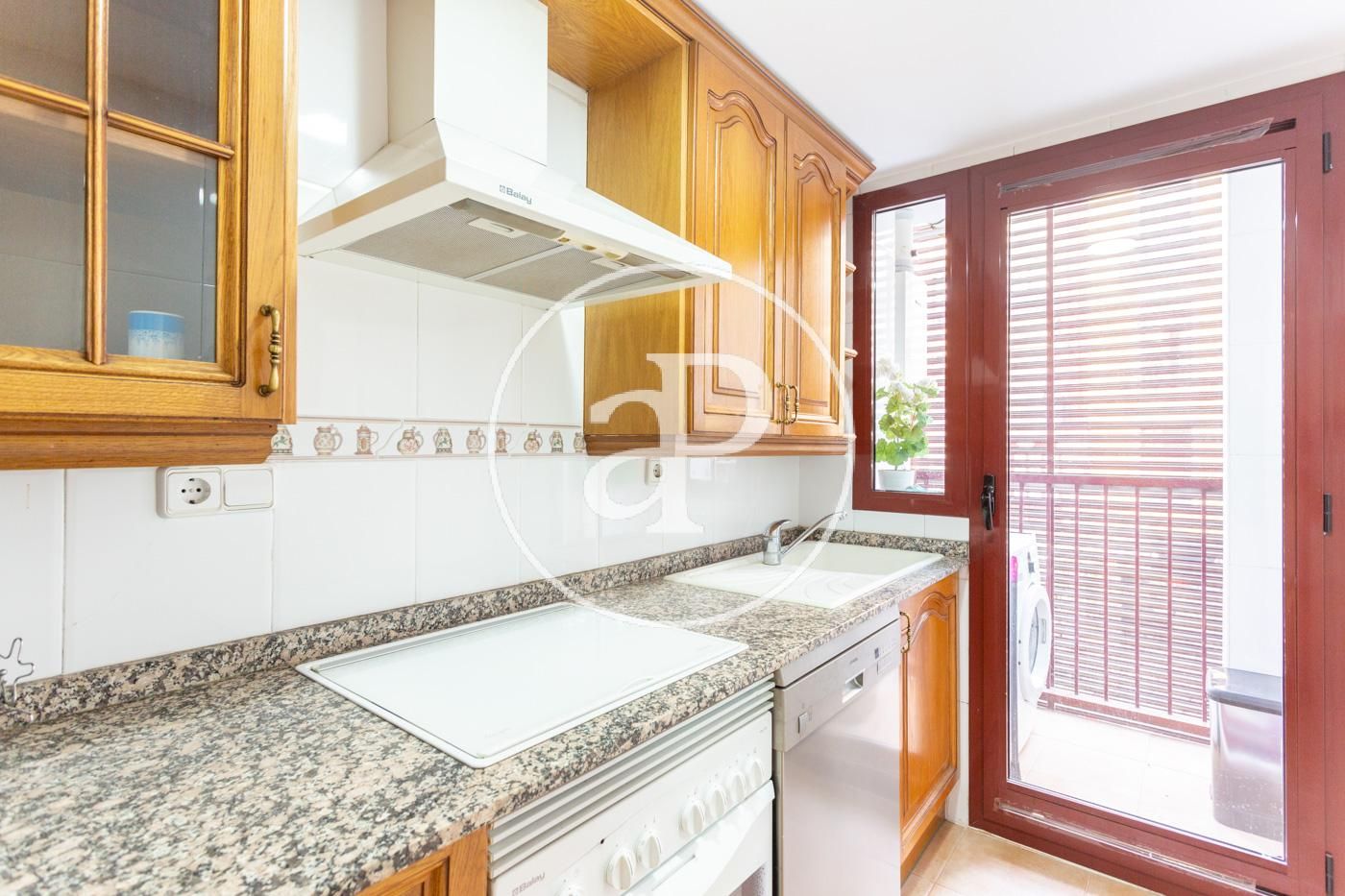 Arrancapins, Valencia, 46007, España