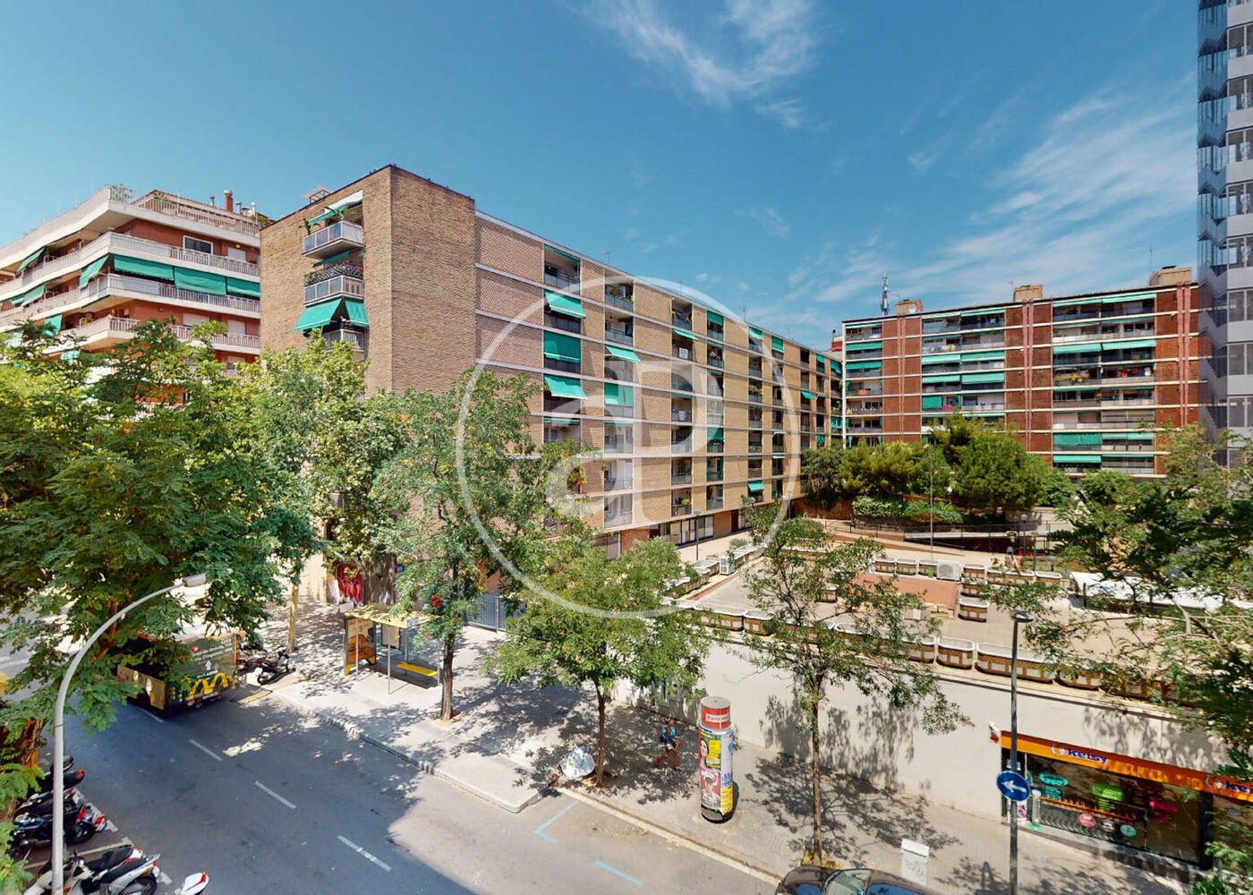 Camp d'en Grassot - Gràcia nova, Barcelona, 08024, España
