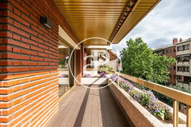 Piso en alquiler