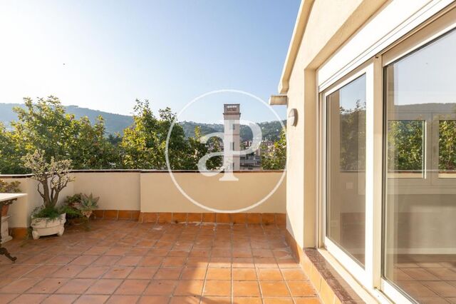 Penthouse for rent