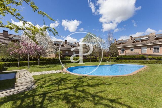 House for rent