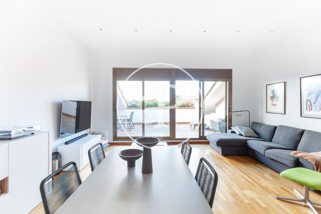 Penthouse for rent