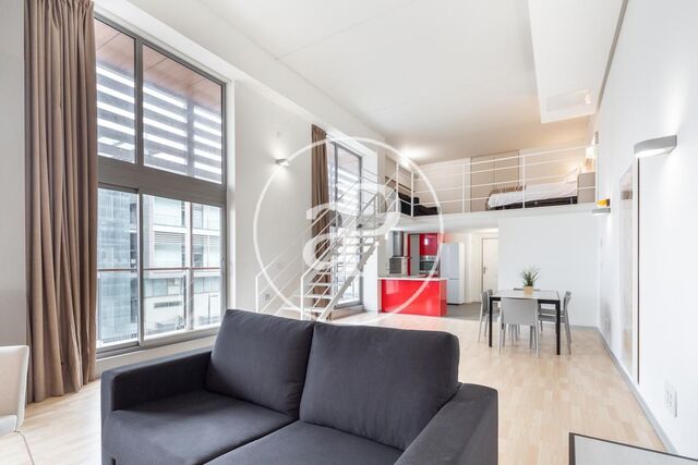 Loft en alquiler