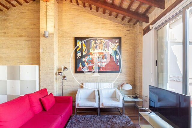 Penthouse for rent