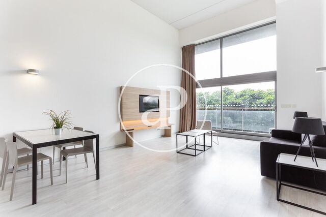 Loft en lloguer