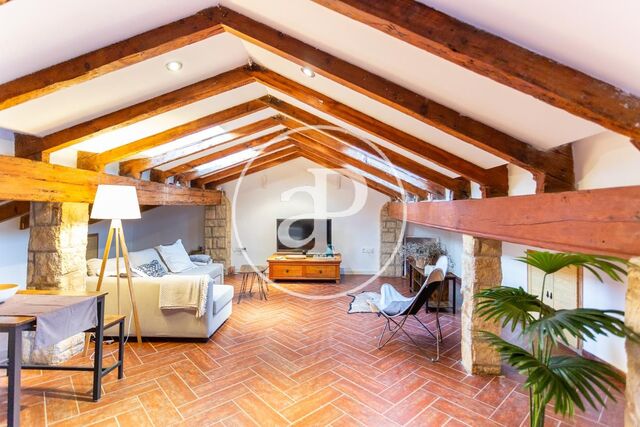Penthouse for rent