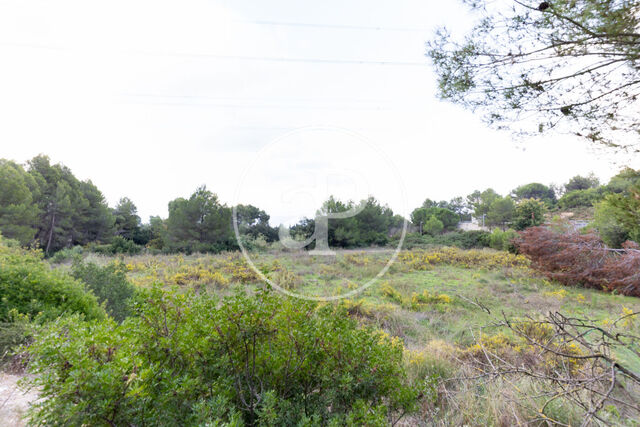 Terreno en venta