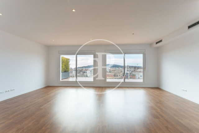 Penthouse for rent