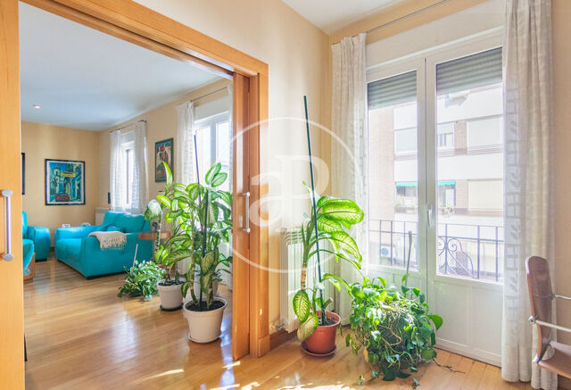 Appartement en vente