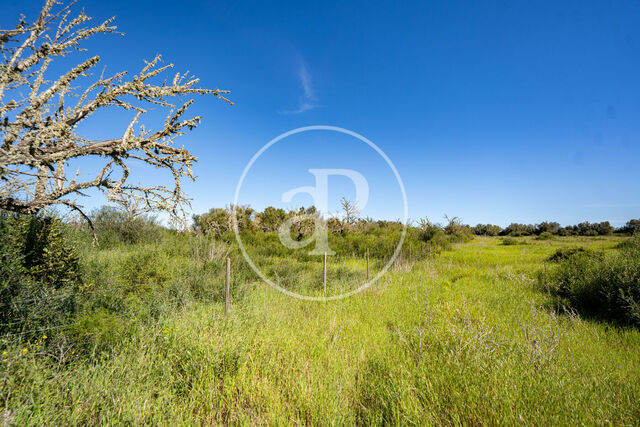 Grundstück zum Verkauf