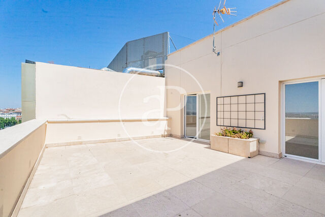 Penthouse for rent