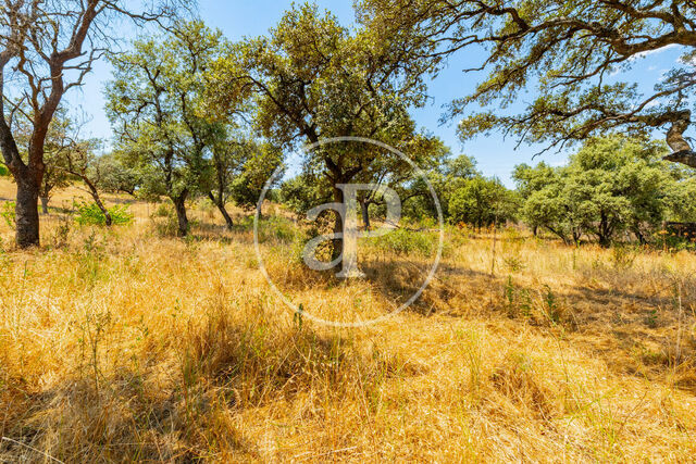 Terreno en venta
