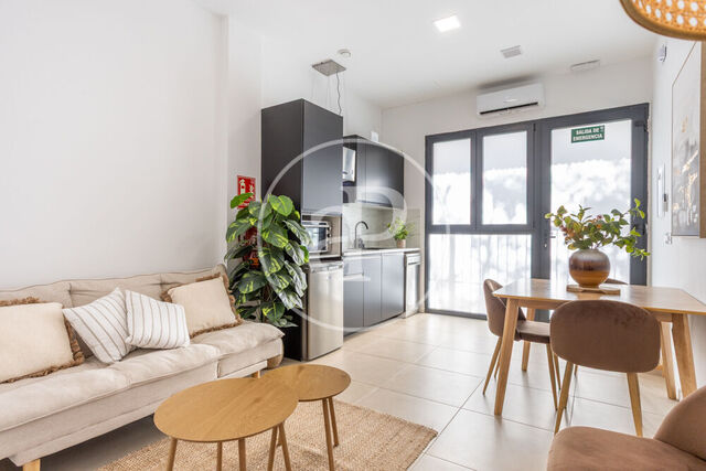 Loft en alquiler