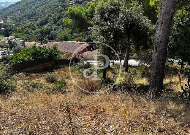 Terrain en vente