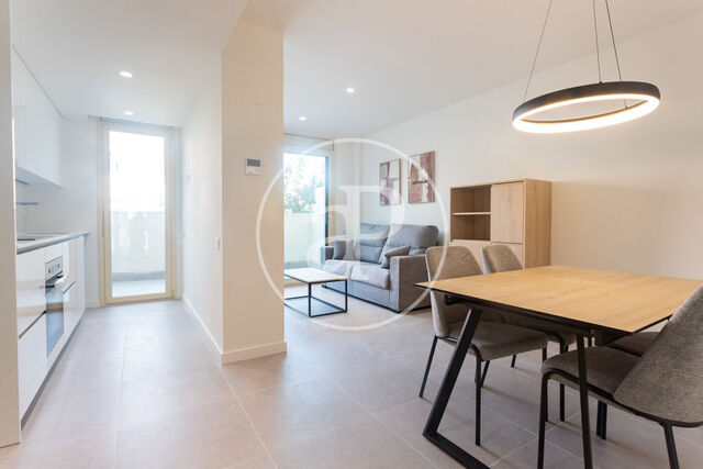 Flat for rent