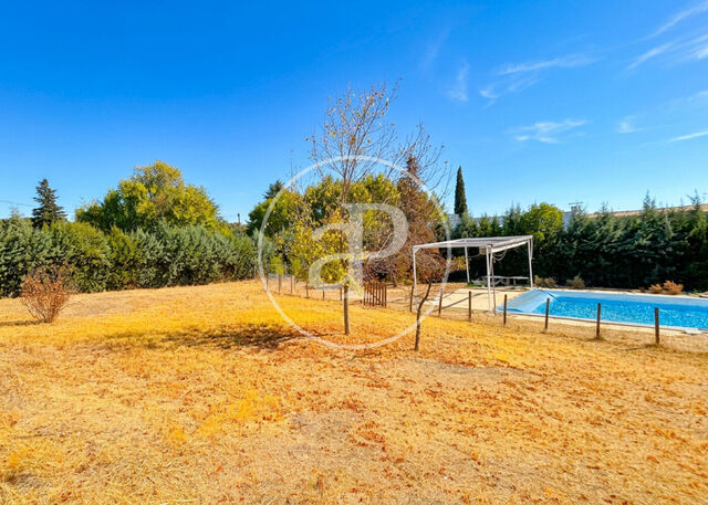 Plot for sale