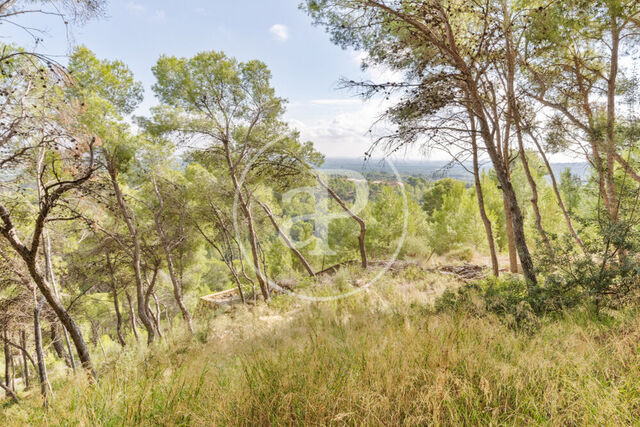 Terrain en vente