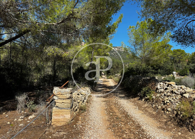 Terrain en vente